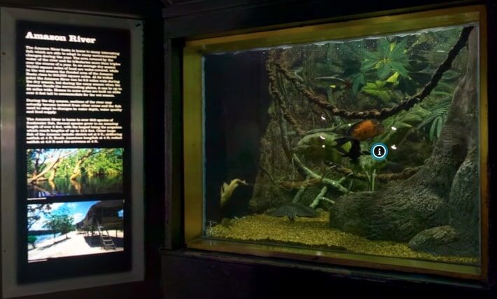 virtual aquarium tours